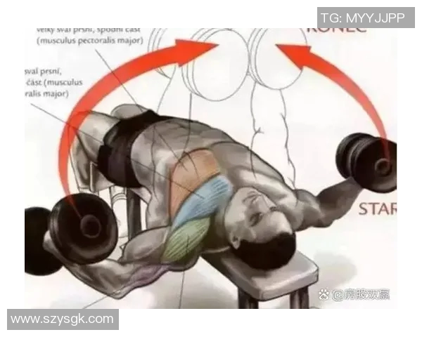 哑铃练胸的最佳动作顺序与技巧分享助你打造完美胸肌