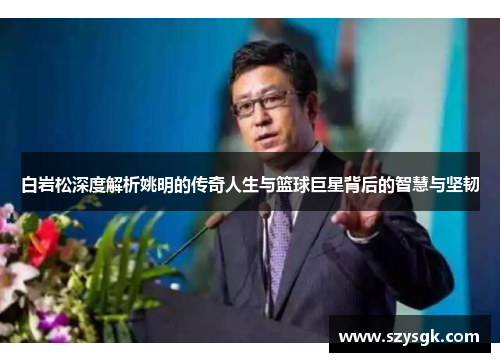 白岩松深度解析姚明的传奇人生与篮球巨星背后的智慧与坚韧
