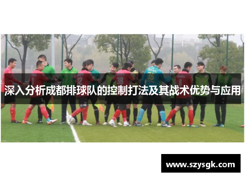 深入分析成都排球队的控制打法及其战术优势与应用