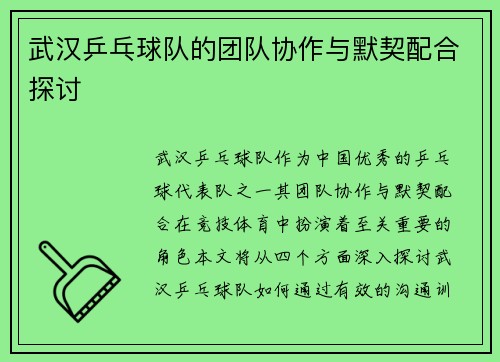 武汉乒乓球队的团队协作与默契配合探讨