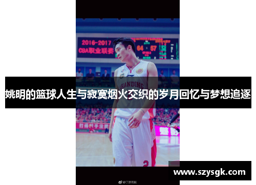 姚明的篮球人生与寂寞烟火交织的岁月回忆与梦想追逐