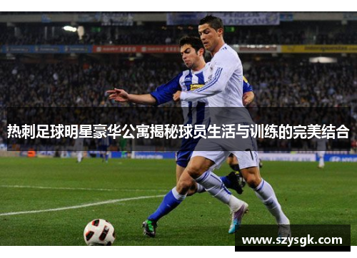 热刺足球明星豪华公寓揭秘球员生活与训练的完美结合